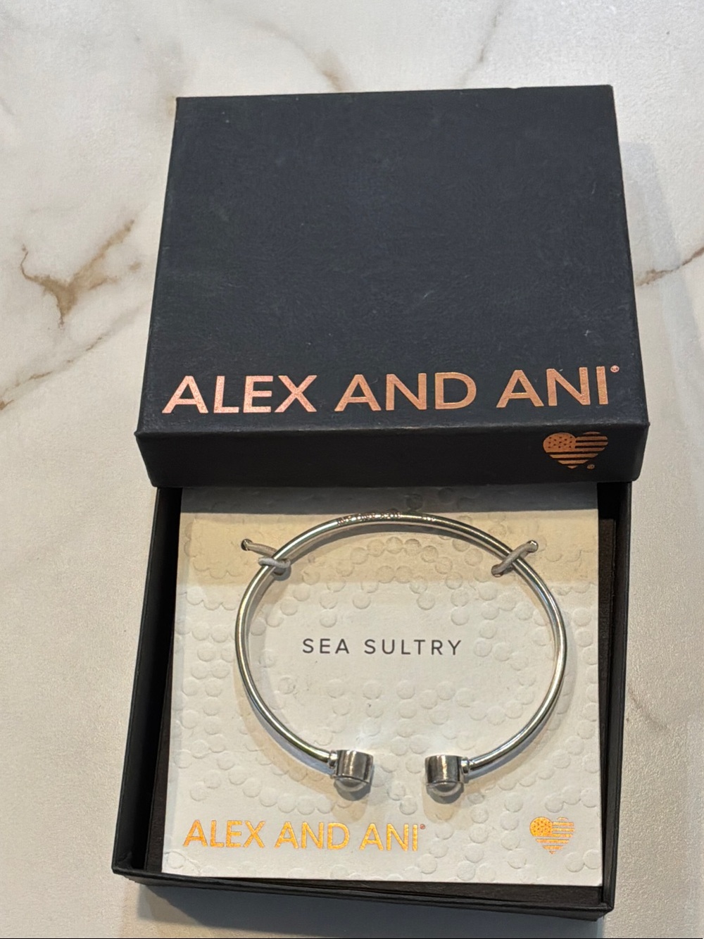 Alex and Ani Silver Bangle Bracelet